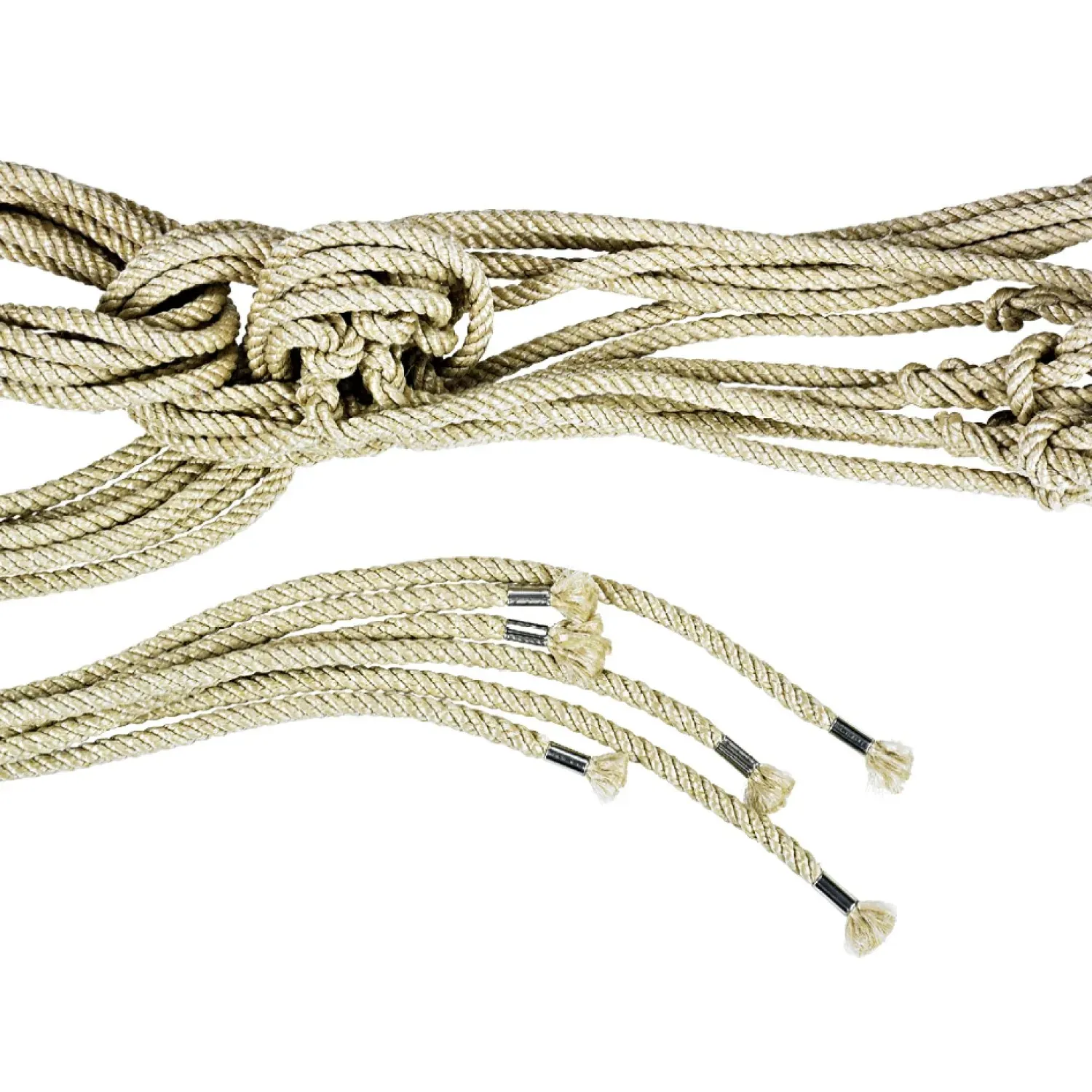 Halters for calves and cows