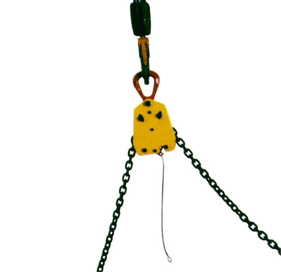 TE Load Positioning Lifting Eye