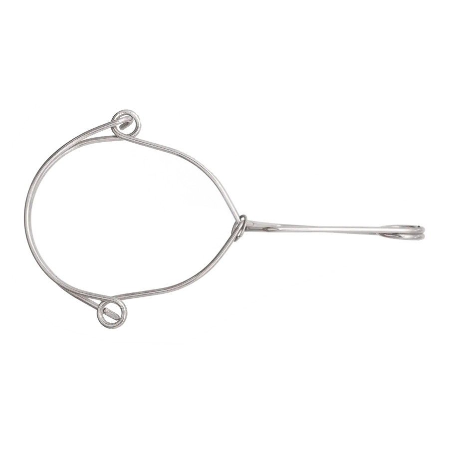 Stainless Steel Anchorage Hook